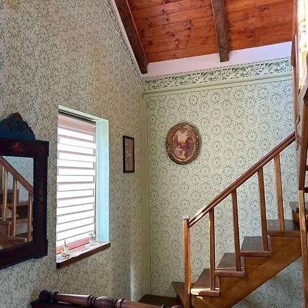 Bed & Breakfast Pansion Sasin Salas 40m2 *