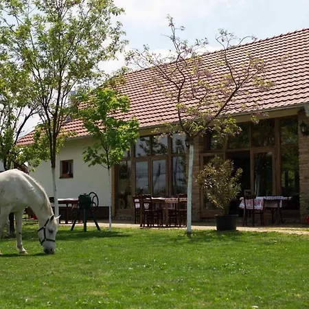 Pansion Sasin Salas 40m2