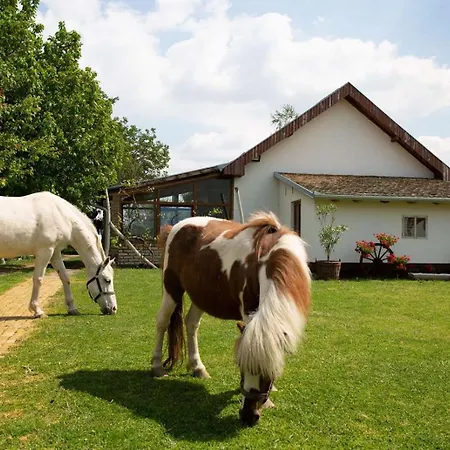 Pansion Sasin Salas 40m2 Bed & Breakfast