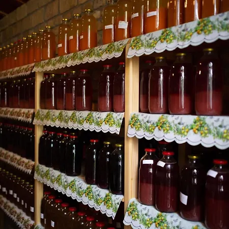 Pansion Sasin Salas 40m2 Rumenka