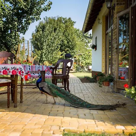 Pansion Sasin Salas 40m2