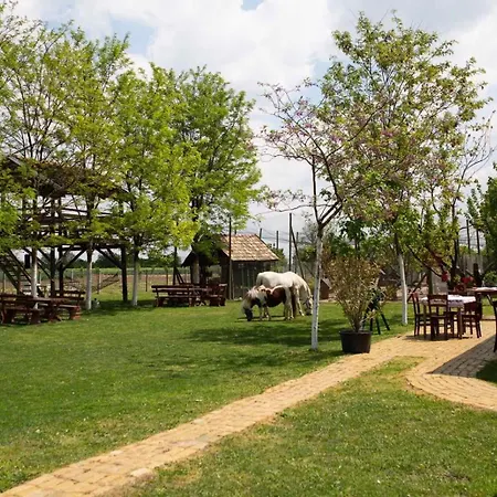 Pansion Sasin Salas 40m2 Bed & Breakfast *