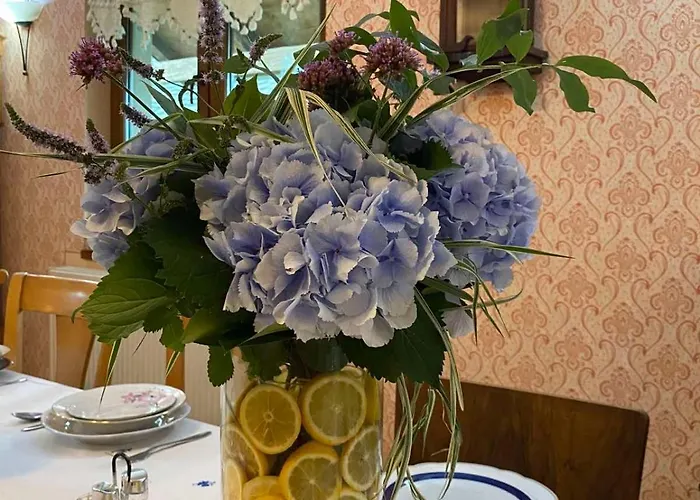 Nocleg ze śniadaniem Pansion Sasin Salas 40m2 *