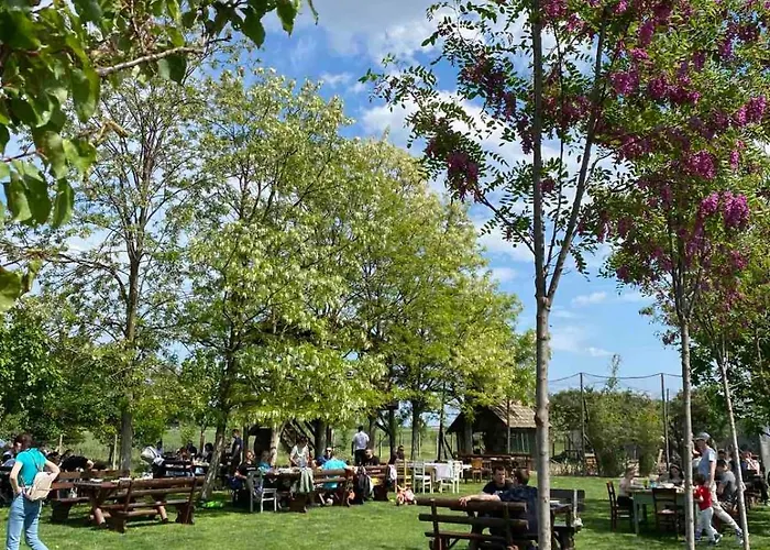 Nocleg ze śniadaniem Pansion Sasin Salas 40m2 *