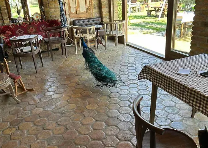 Pansion Sasin Salas 40m2 Nocleg ze śniadaniem Rumenka