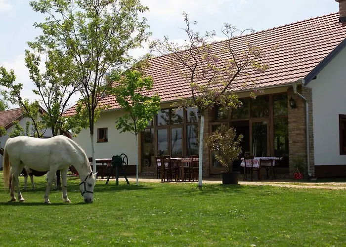 Pansion Sasin Salas 40m2