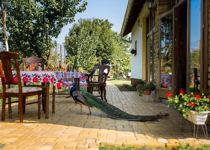 Pansion Sasin Salas 40m2