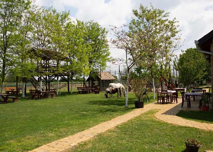 Pansion Sasin Salas 40m2 Nocleg ze śniadaniem *